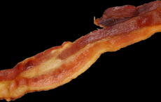 Bacon 