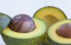 Everything You Need To Know About Avocados