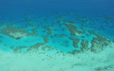 Great Barrier Reef Threatened With Extinction 'Within 20 Years'