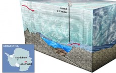 New life found at Station vostok antarctica subglacial lake or not