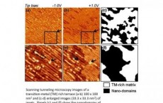 Quasicrystal Surface and Nanodomains