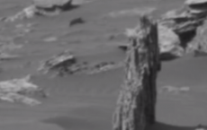 Possible Tree Stump Found On Mars?