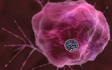 Cancer Diagnosis And Treatment With A Single Nanoparticle