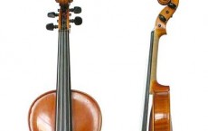 Violin 