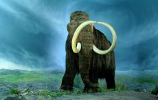 Climate Not to be Blamed For Extinction of Large Mammals