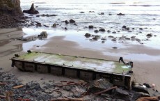 Removal of Tsunami Dock in Washington Coast Begins