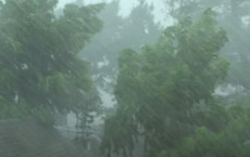 Heavy Rain And Wind