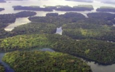 Amazon Basin