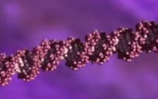 DNA Replication Animation