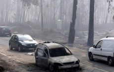 Portugal Forest Fires Kill 62 Near Coimbra