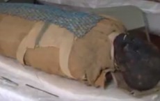 Egyptian Mummy