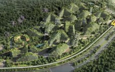 China’s First ‘Forest City’