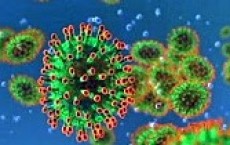 Killer Bug: SARS Coronavirus