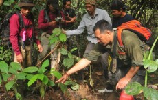  Footprints Sumatran Belonging to the Endangered Sumatran Rhino Found in Indonesia