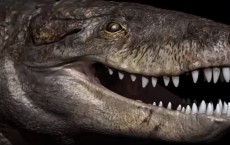 Meet ‘Razana’ - The Jurassic Period Crocodile That Could Challenge A T-Rex