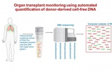 BLOOD TEST FOR ORGAN TRANSPLANT MONITORING USING DNA