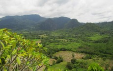 Lowland Palawan, the Philippines 