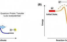 Schematic Diagram 