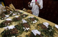 Traditional Chinese Herbal Medicine Slows The Progression of Diabetes