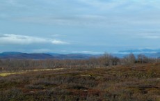 Sampling Site in Kilpisjärvi, Finnish Lapland (IMAGE)