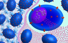 How FAE Metabolites Work To Effectively Treat MS (IMAGE)