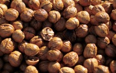 Walnuts Rich Diet Help Overweight Adults By Improving Endothelial Functions