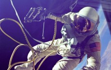 Dormant viruses activate during spaceflight -- NASA investigates