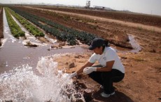 Water Sampling of Irrigation Ditch (IMAGE)