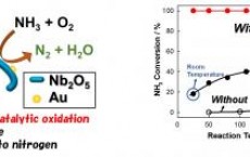 Ammonia Selective Catalytic Oxidation (IMAGE)