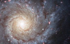 Spiral Galaxy