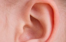 Close up of ear