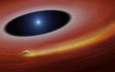 Heavy metal planet fragment survives destruction from dead star