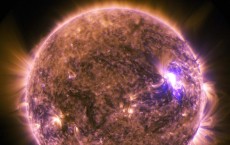 Solar Flare (IMAGE)