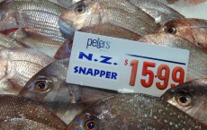 New Zealand Snapper in Fish Market (IMAGE)