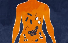 Microbiome (IMAGE)