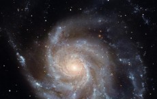 Spiral structure in the Pinwheel Galaxy (IMAGE)