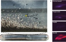 Lab Photos (IMAGE)