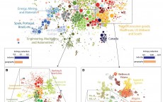 Global Labor Flow (IMAGE)