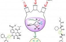 Azetidine 1 (IMAGE)