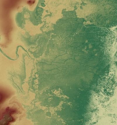 Ancient Maya Wetland Field System at Birds of Paradise (IMAGE)