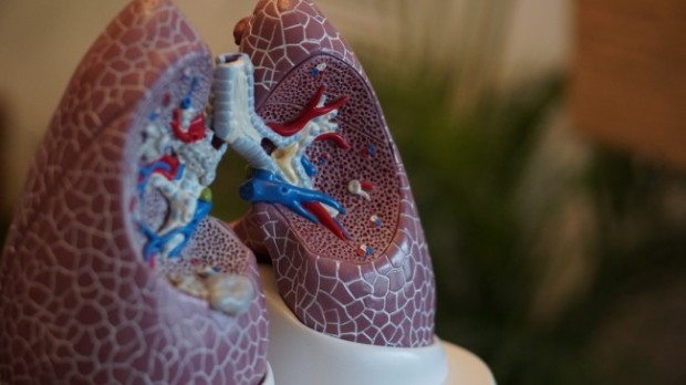 Improve Your Lung Health with These Effective Tips