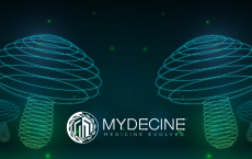 Psychedelic Solutions. How Mydecine Innovations Group is Working to Solve the Mental Health Crisis 