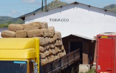 Foundation for a Smoke-Free World Malawi Tobacco