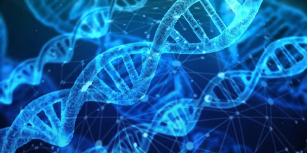 Dna Analysis Research