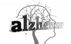 What Is the APOE4 Gene and How Is It Linked to Alzheimer's Disease?