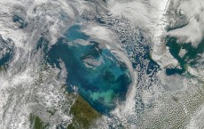 Phytoplankton Bloom in the Barents Sea