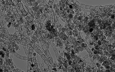 nanostructured-carbon-based catalyst developed at Los Alamos National Laboratory