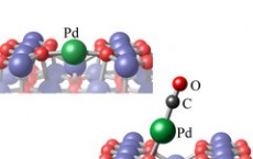 carbon monoxide molecules, which bind to individual palladium atoms