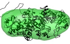 Mapping of protein inhibitors facilitates development of tailor-made anticancer agents