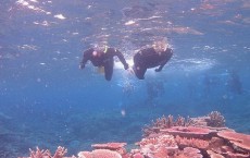 Great Barrier Reef